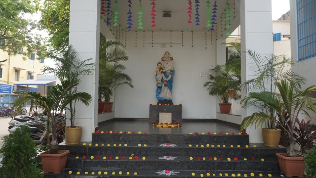 Diwali Celebration